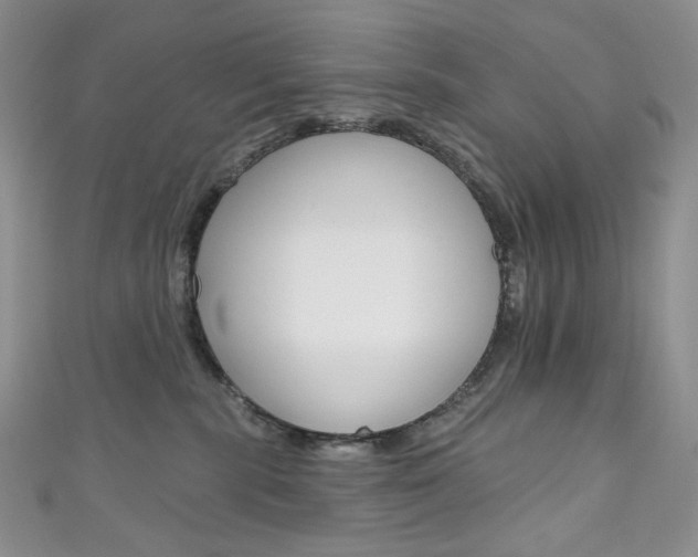 X0000111160283200906301104