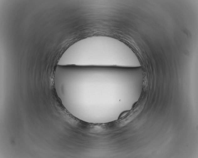 X0000111160285200906301104
