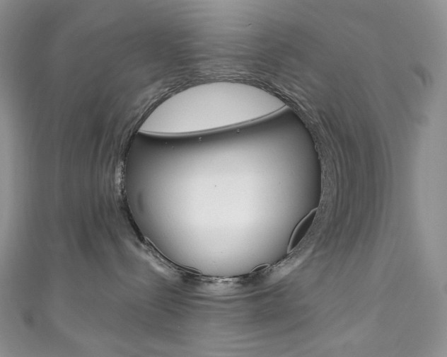X0000111160288200906301104