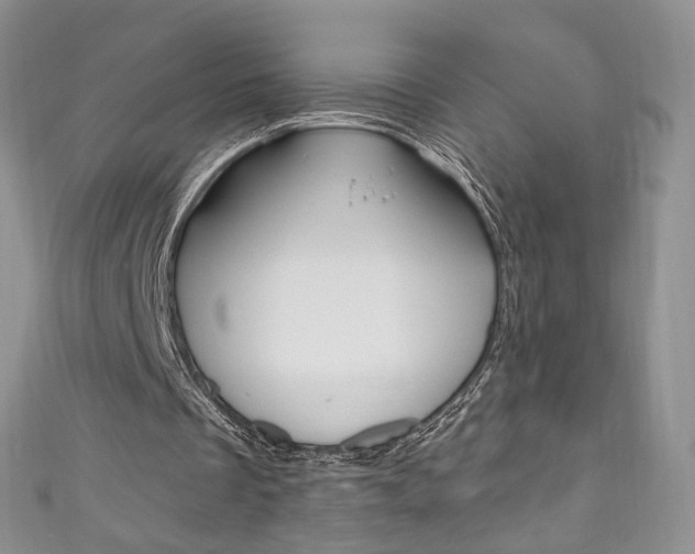 X0000111160289200906301104