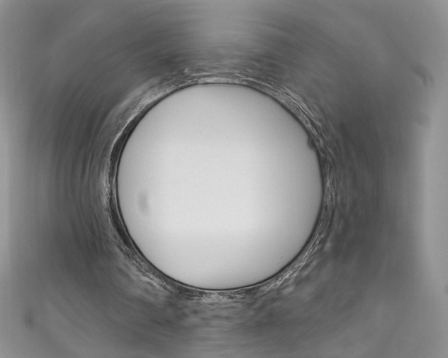 X0000111160290200906301104
