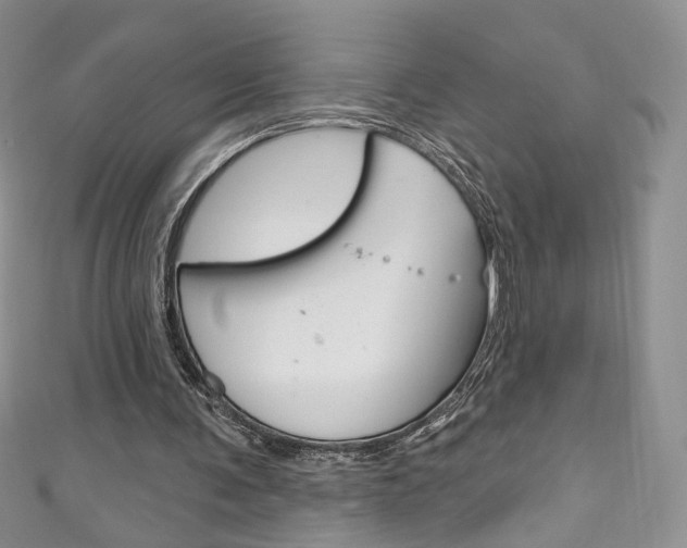 X0000111160291200906301104