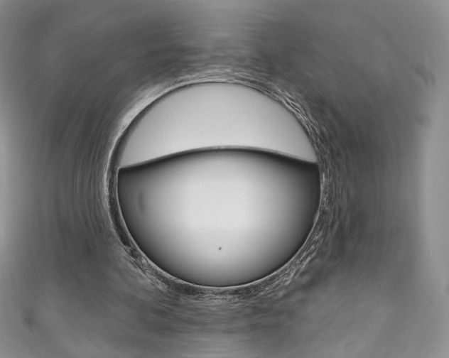 X0000111160292200906301104