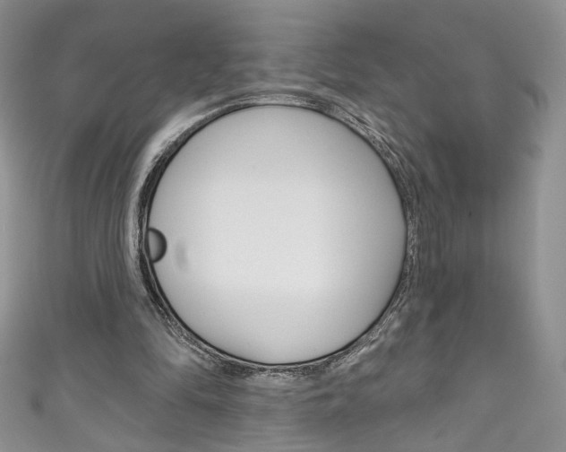 X0000111160294200906301104
