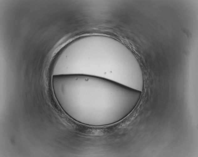 X0000111160295200906301104