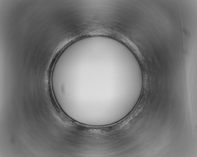 X0000111160298200906301104