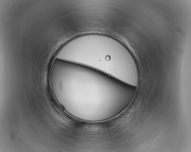 X0000111160299200906301104