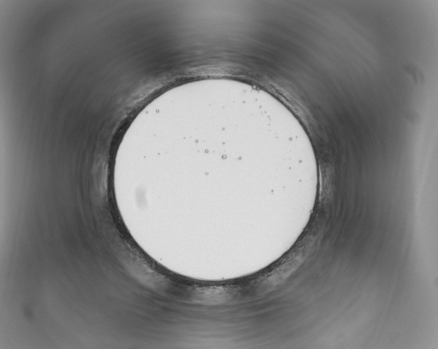 X0000111160301200906301104