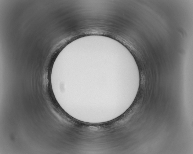X0000111160302200906301104