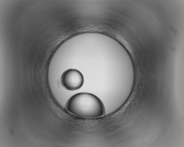 X0000111160305200906301103