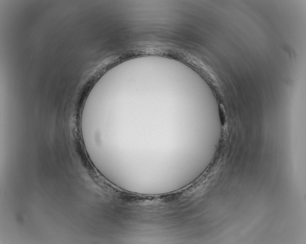 X0000111160306200906301103