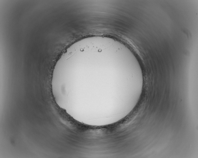 X0000111160307200906301103