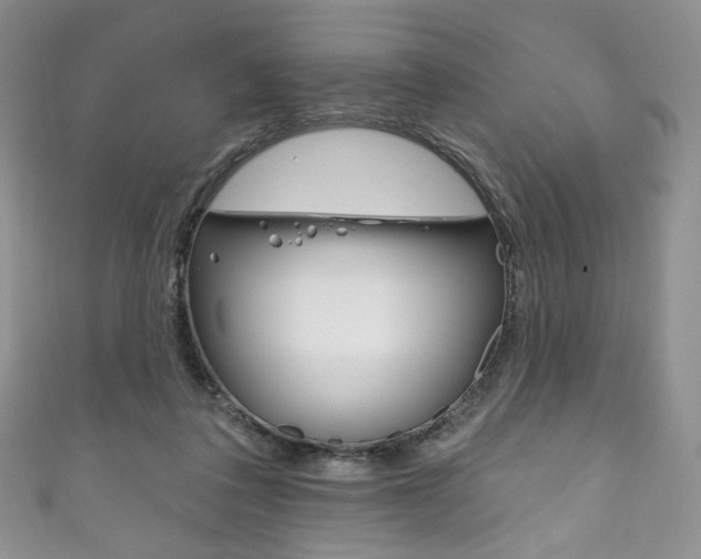 X0000111160308200906301103