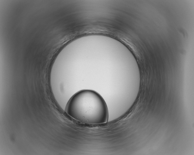 X0000111160309200906301103