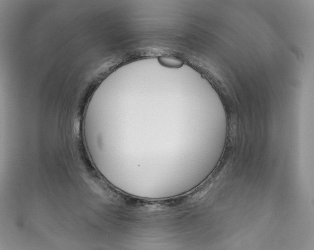 X0000111160310200906301103