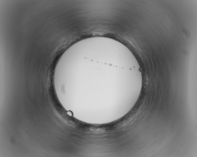 X0000111160311200906301103