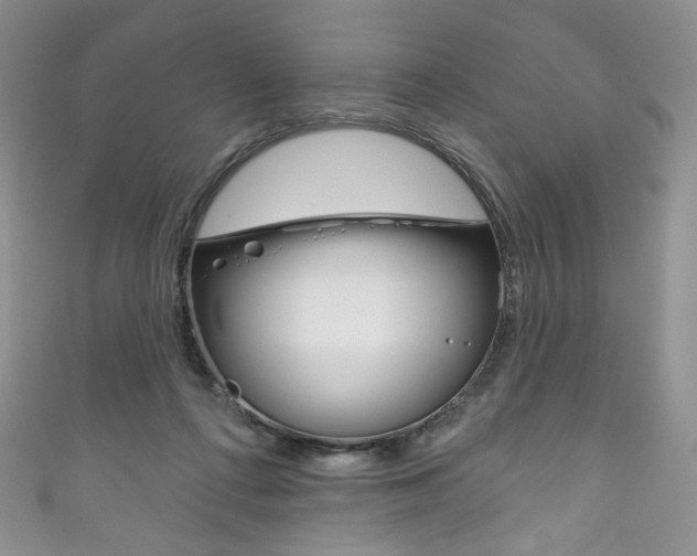 X0000111160312200906301103