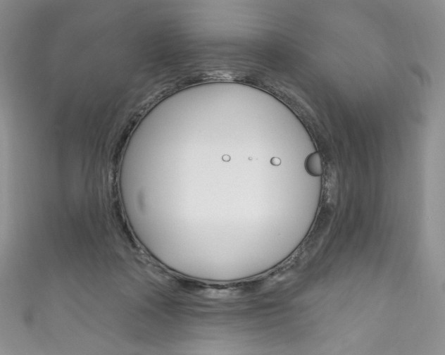 X0000111160314200906301103