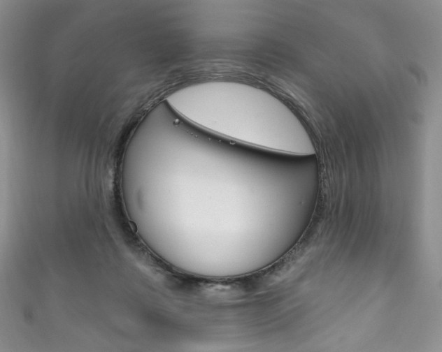 X0000111160315200906301103