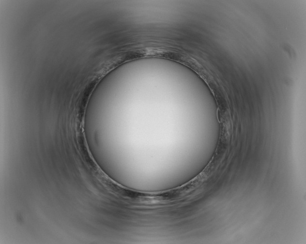X0000111160316200906301103