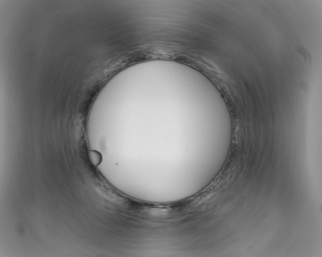 X0000111160318200906301103
