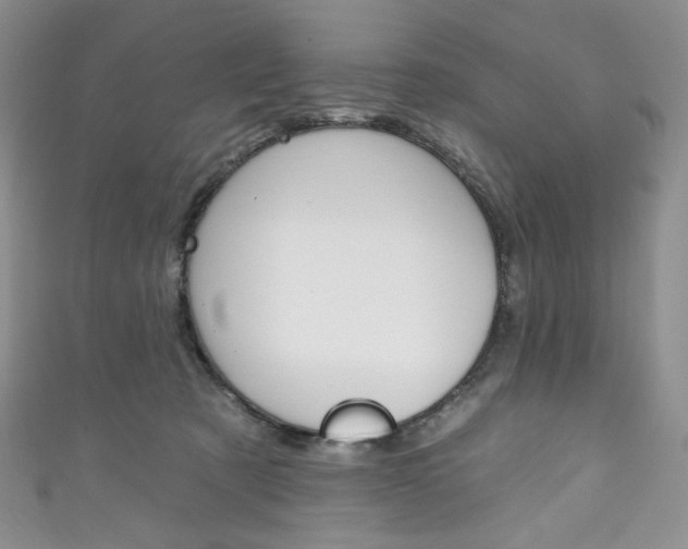 X0000111160321200906301103