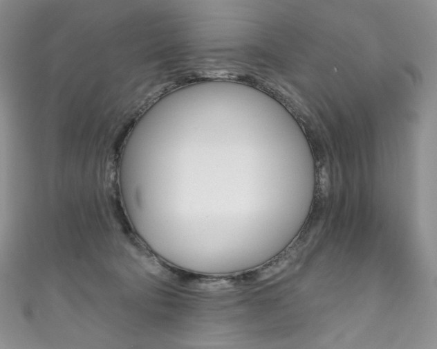 X0000111160322200906301103
