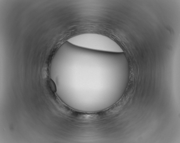 X0000111160323200906301103