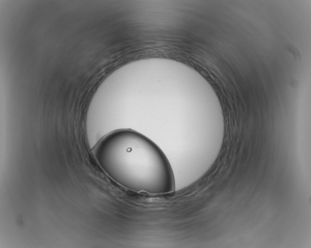 X0000111160324200906301103