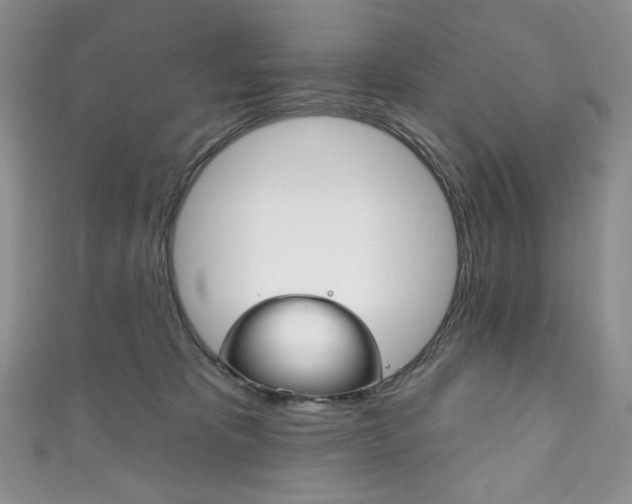 X0000111160325200906301103