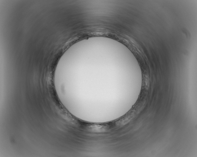 X0000111160326200906301103