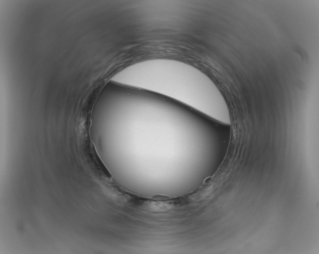 X0000111160327200906301103