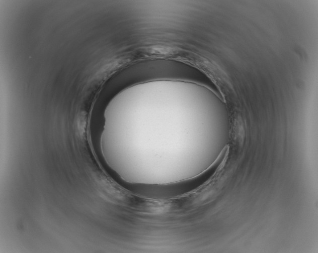 X0000111160328200906301103