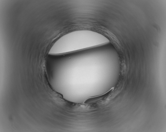 X0000111160329200906301103