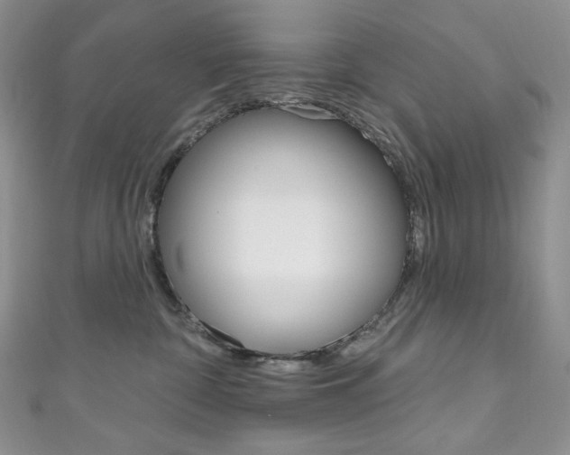 X0000111160332200906301103