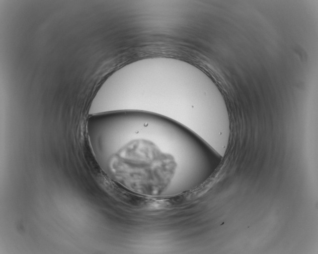 X0000111160333200906301103