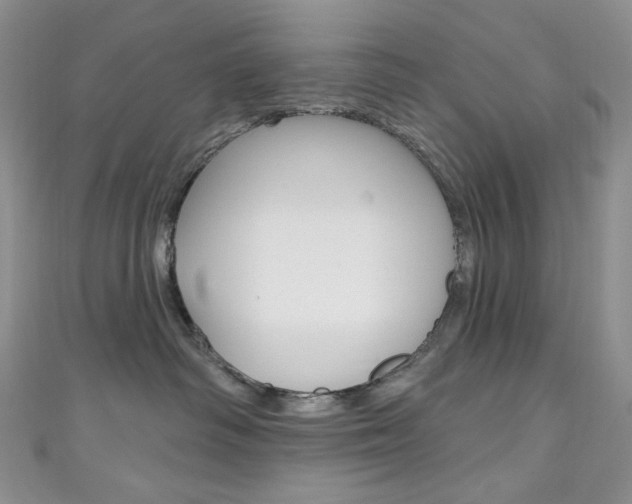 X0000111160334200906301103