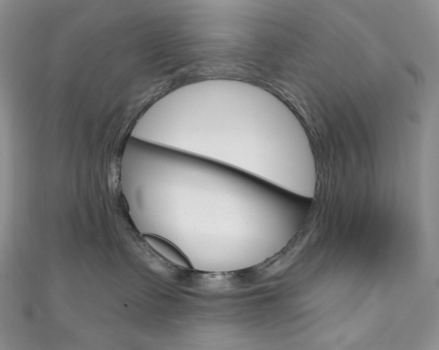 X0000111160335200906301103