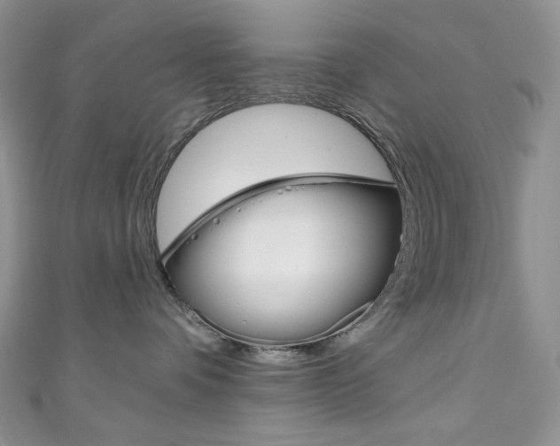 X0000111160336200906301103