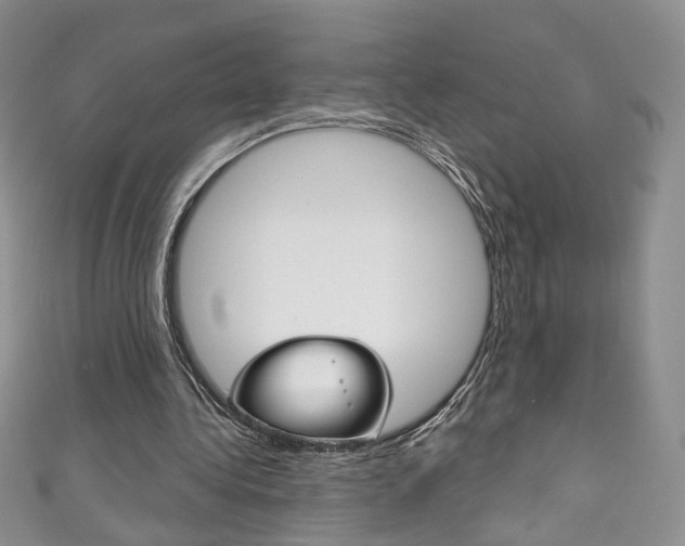 X0000111160340200906301102
