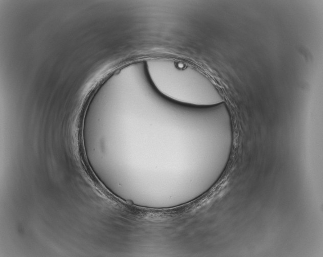 X0000111160341200906301102