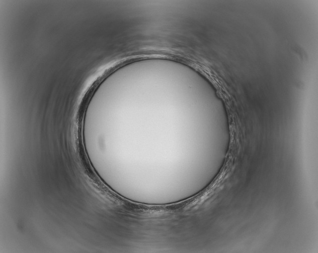 X0000111160342200906301102