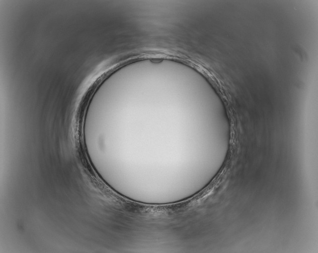 X0000111160343200906301102