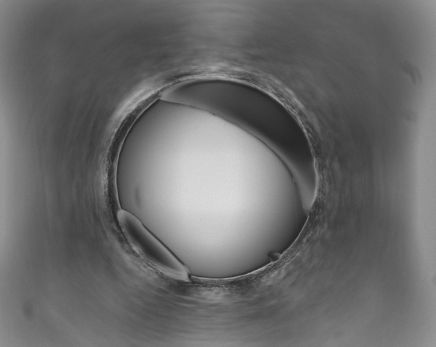 X0000111160344200906301102