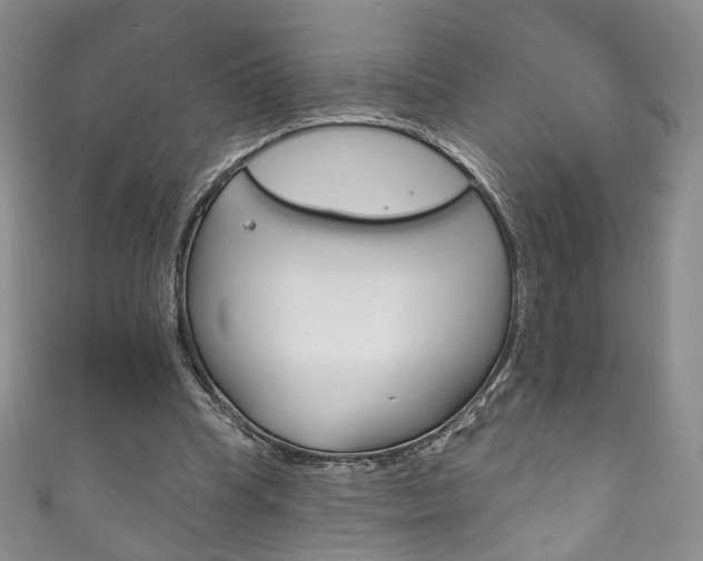 X0000111160345200906301102