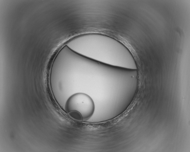 X0000111160346200906301102