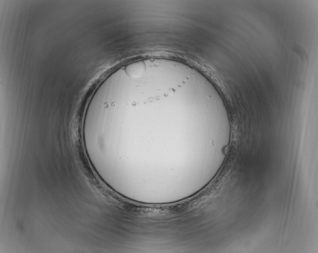 X0000111160347200906301102