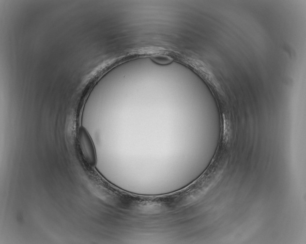 X0000111160348200906301102