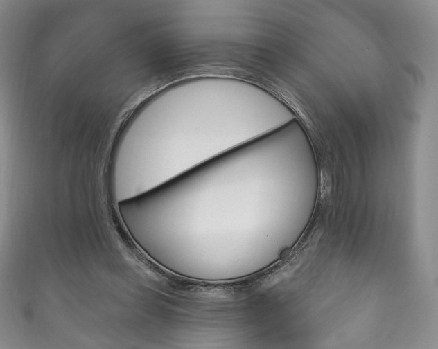 X0000111160349200906301102