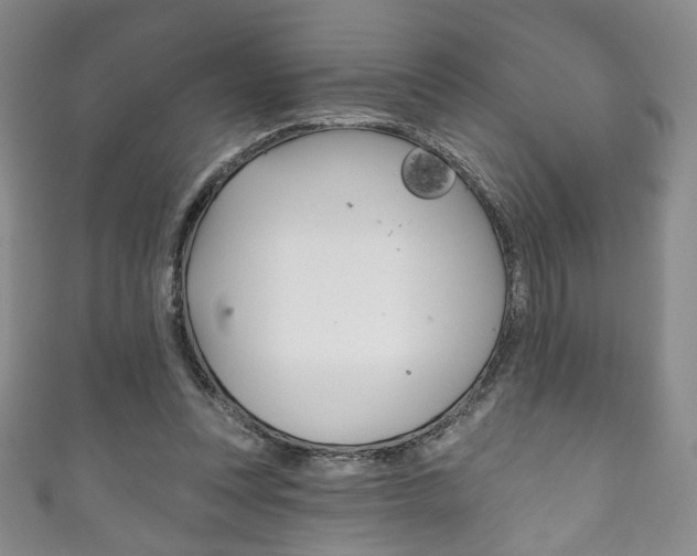 X0000111160351200906301102